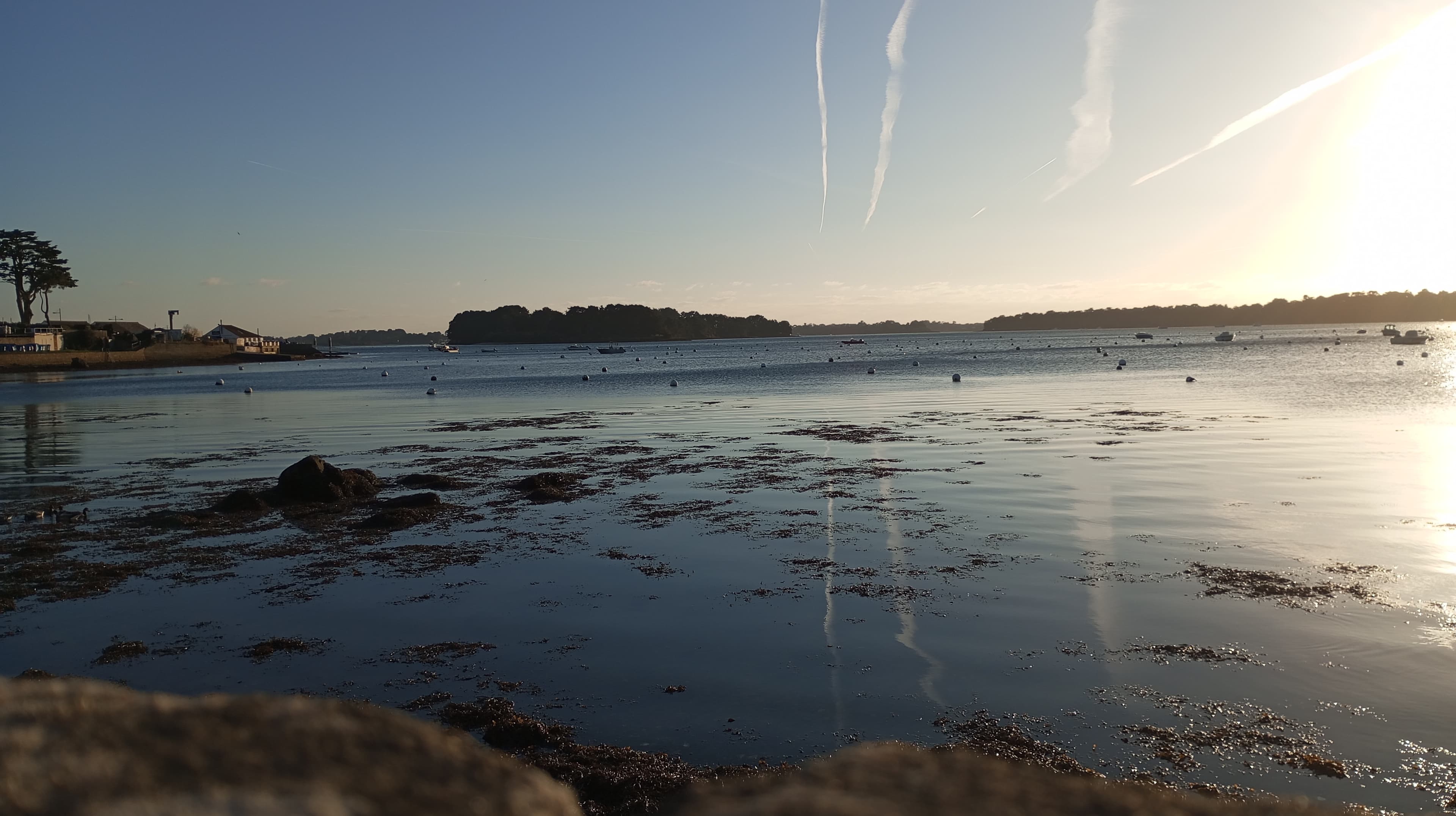 Vue panoramique sur le Golfe du Morbihan depuis l'estran — Les Secrets de la Marée, Larmor-Baden