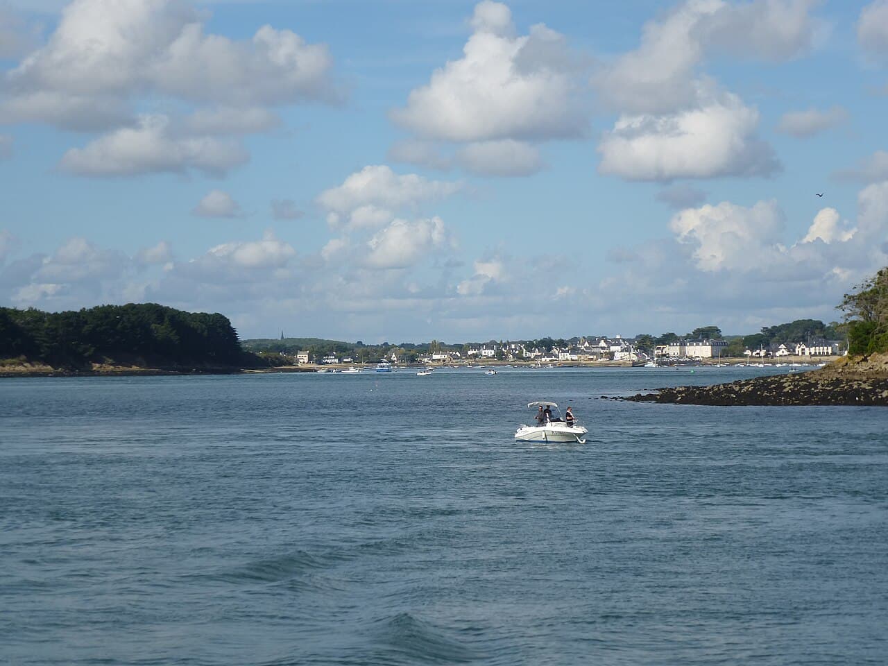 chisloup
