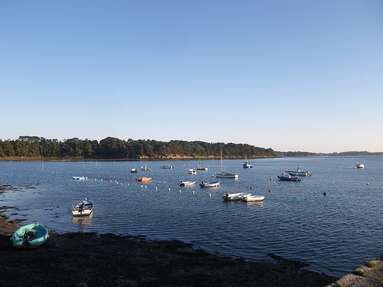 chisloup